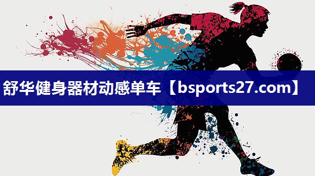 舒华健身器材动感单车
